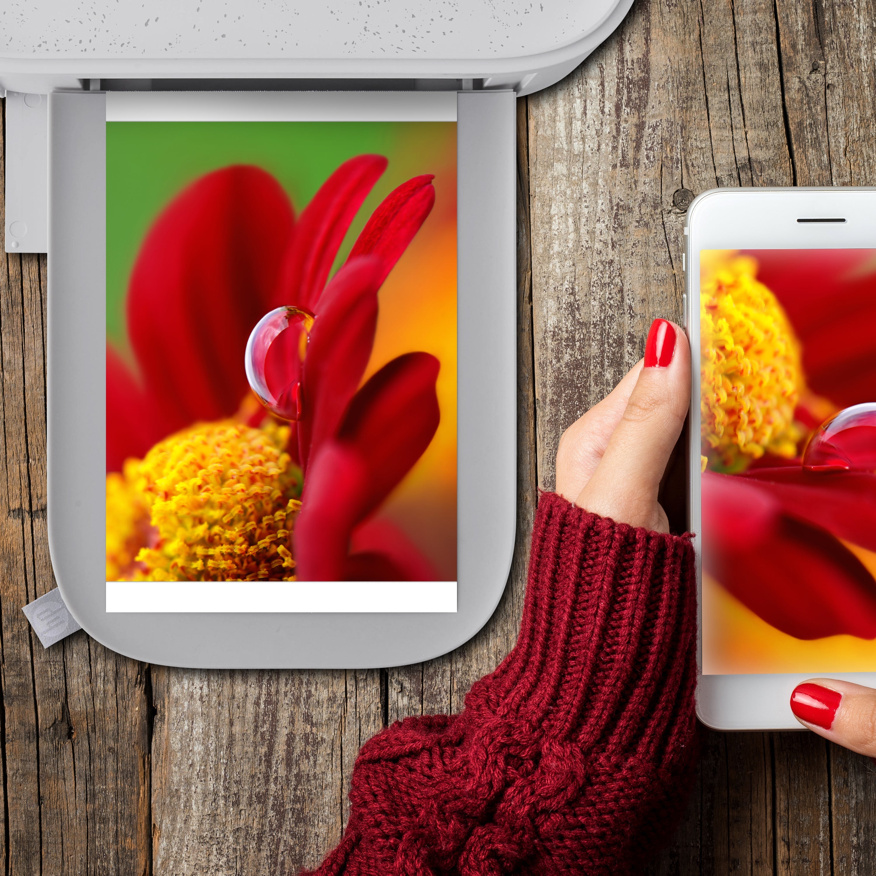 HP Sprocket Studio Plus 4