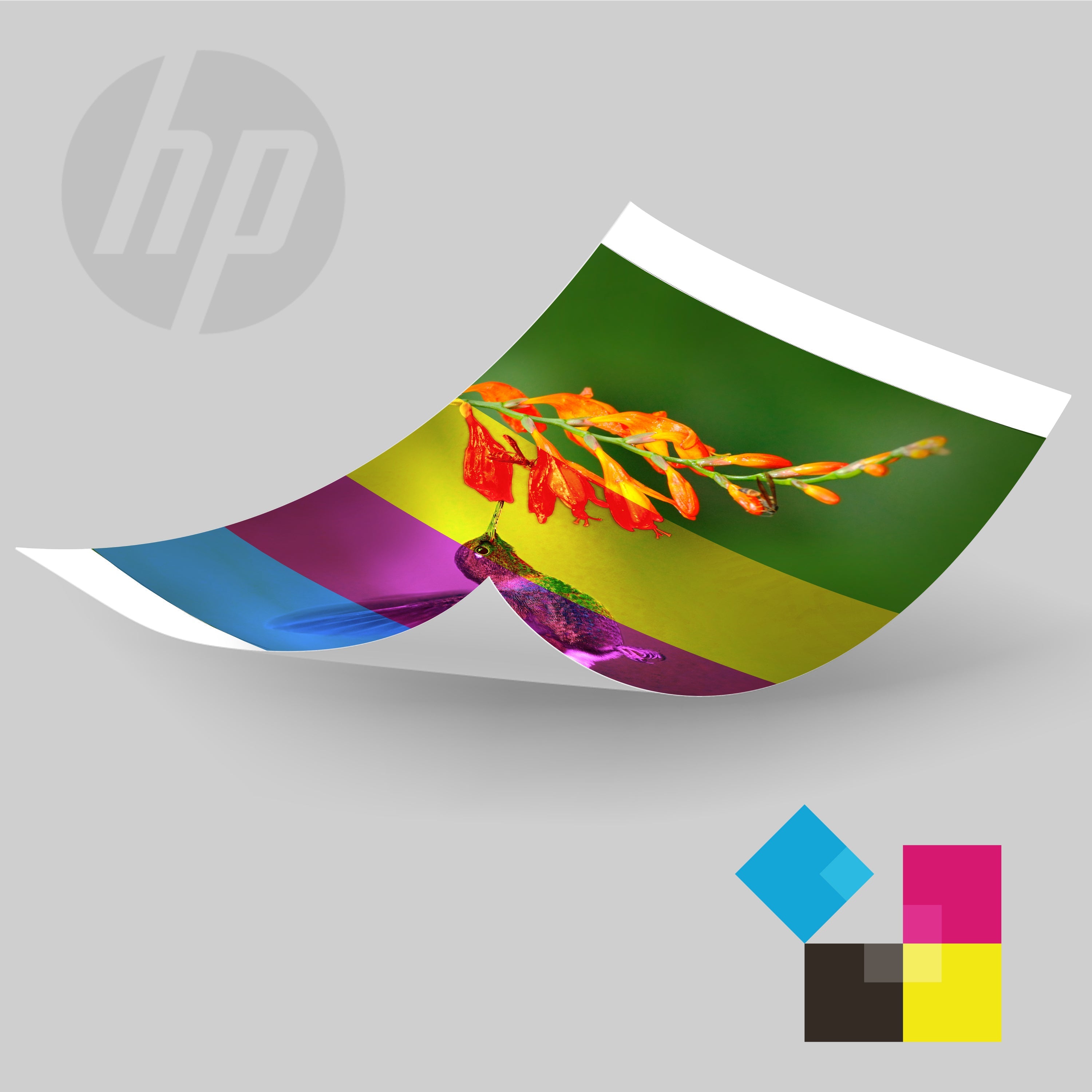 HP Sprocket Studio Plus 4